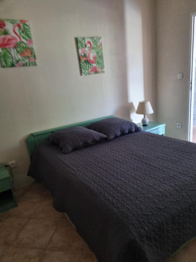 Les Conils - Gites Et Chambres D'Hotes Saint-Pierre-de-Vassols Dış mekan fotoğraf